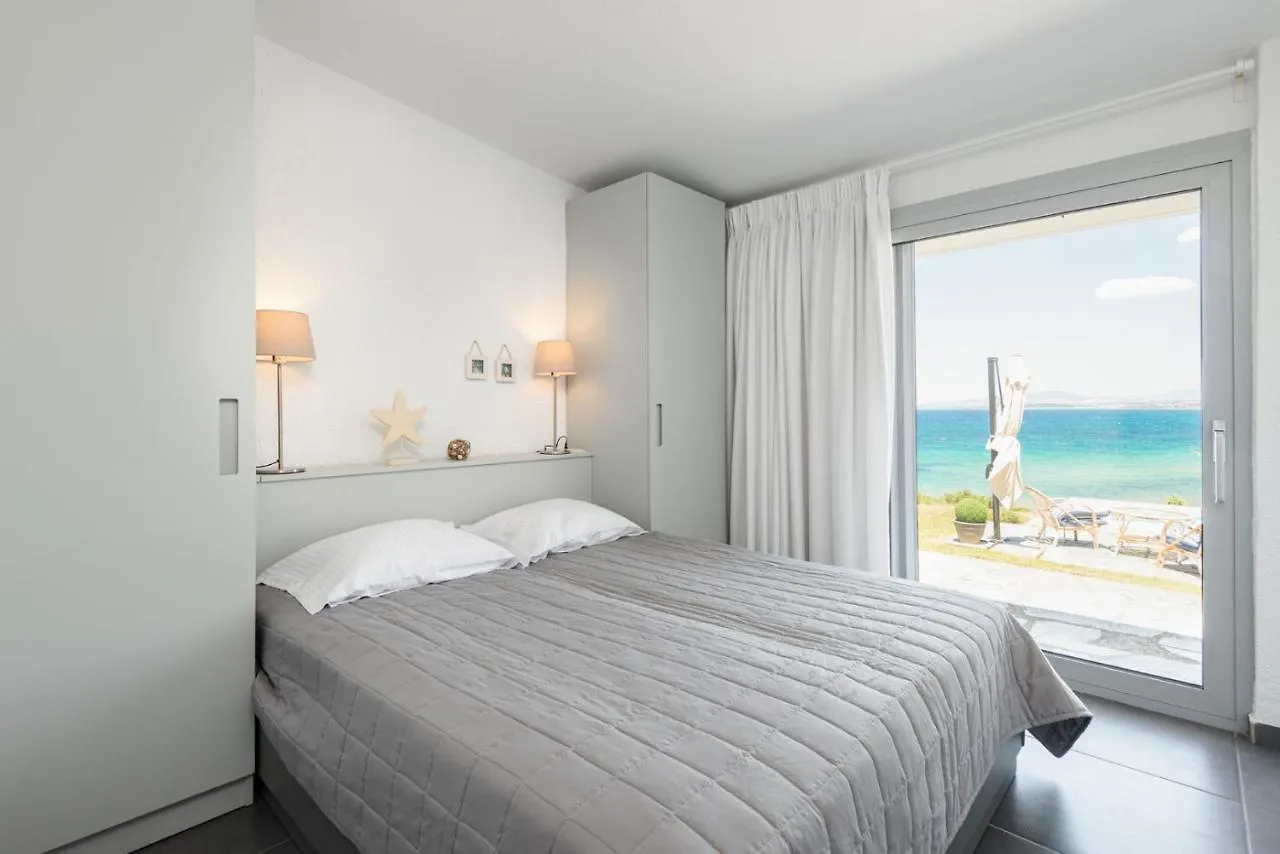 Haddock Beachfront Villa Nea Propontida