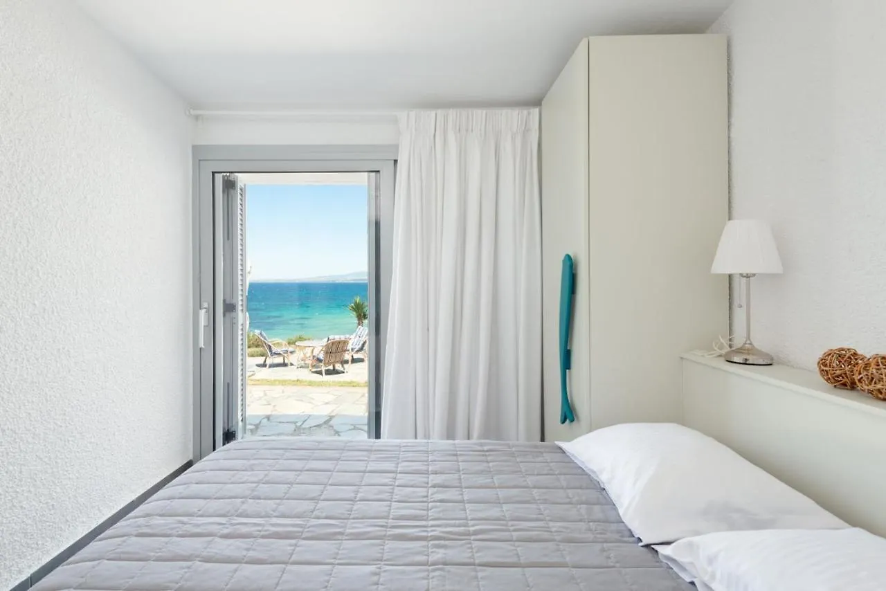 Haddock Beachfront Villa Nea Propontida